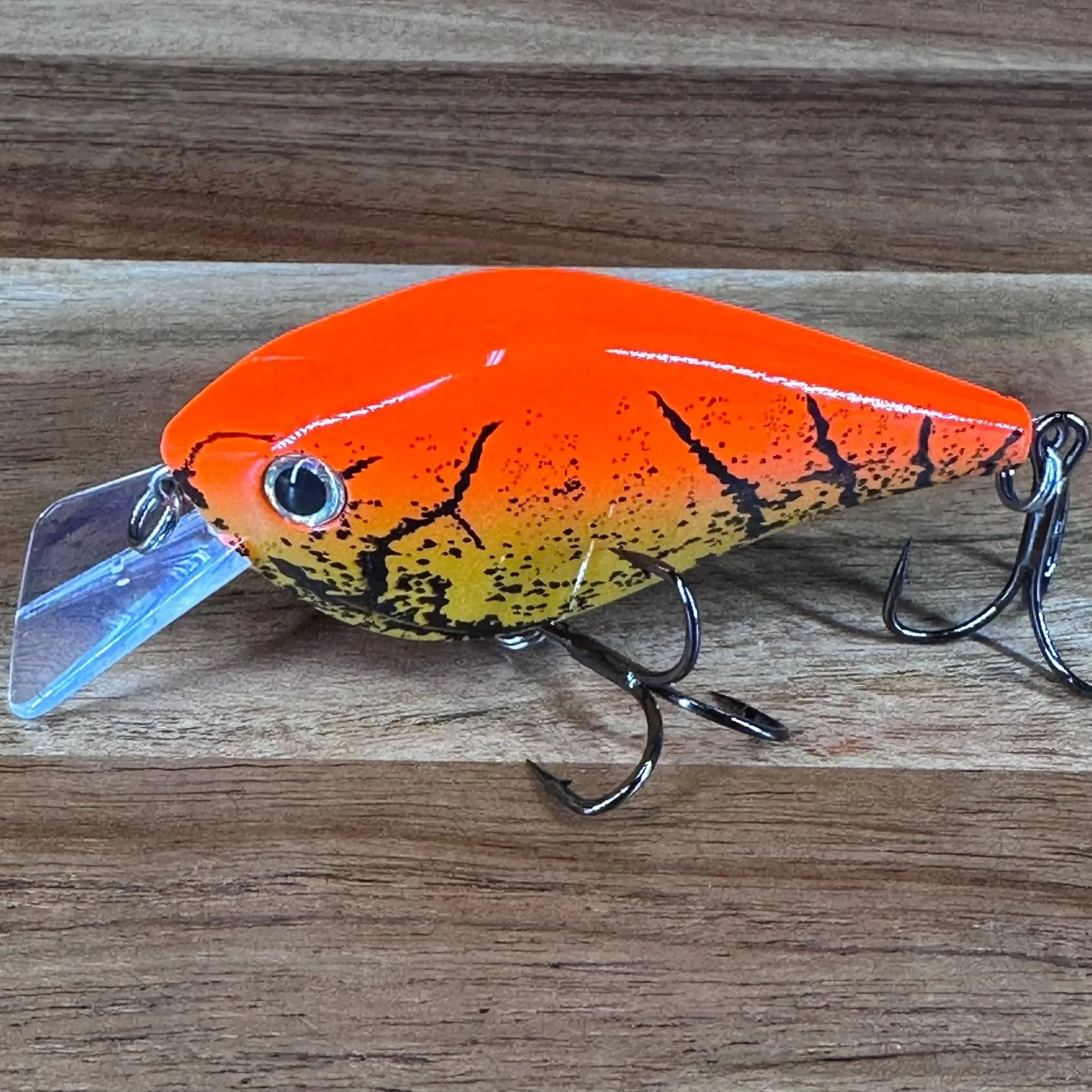 Hybrid Shad - JHall Fishing
